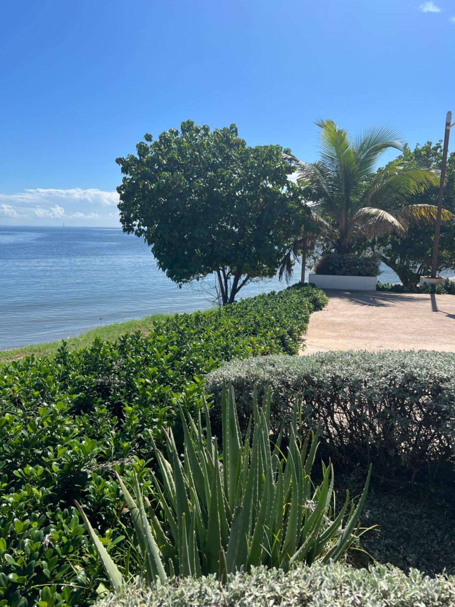 Bayfront Villa & Apartment Portmore Eksteriør bilde